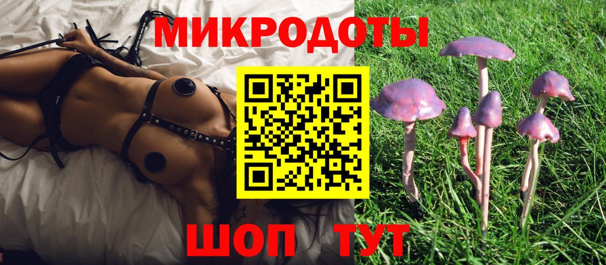 Псилоцибиновые грибы мухоморы Черемхово
