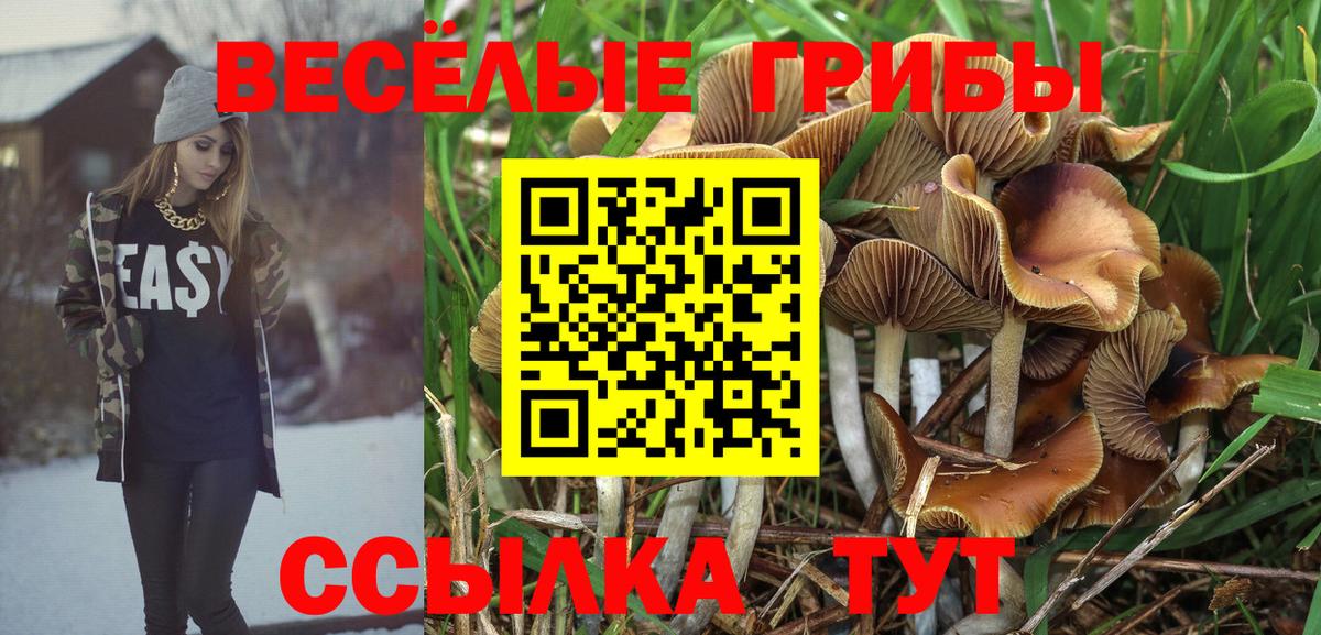Псилоцибиновые грибы прущие грибы  Вход с VPN  Черемхово 